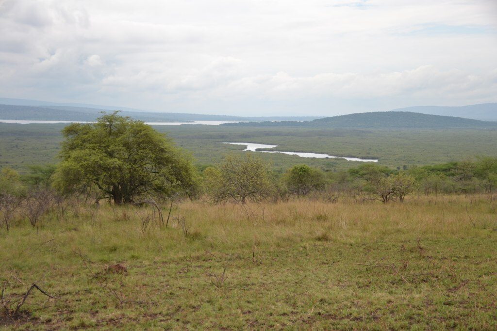 Akagera National Park