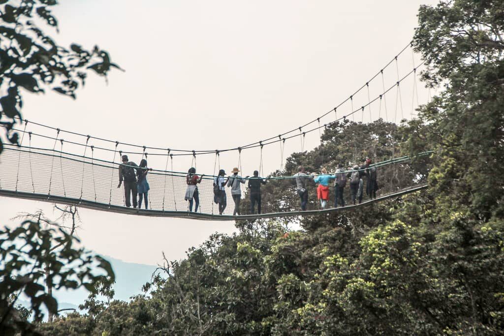 Nyungwe Forest National Park