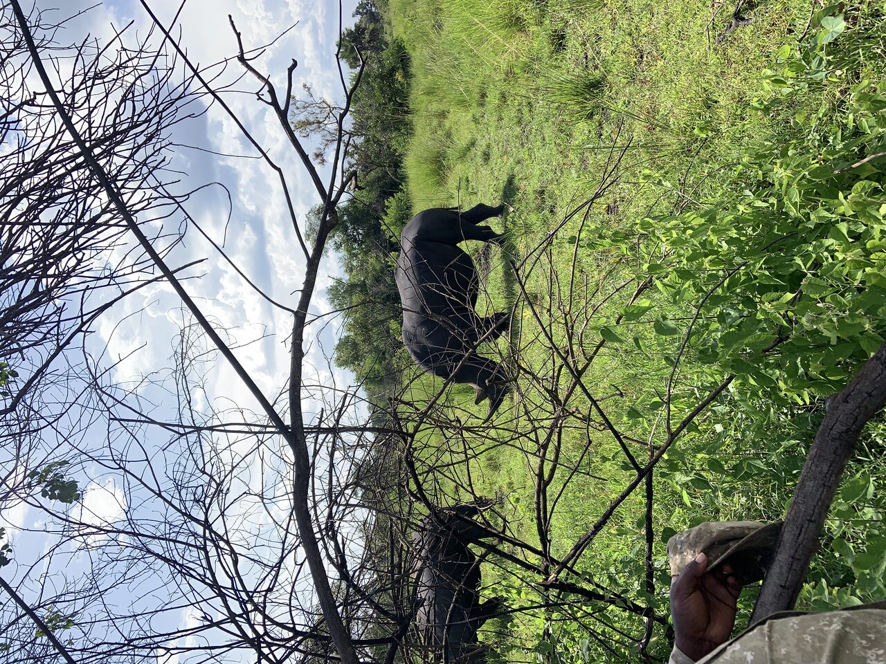 Ziwa Rhino Sanctuary