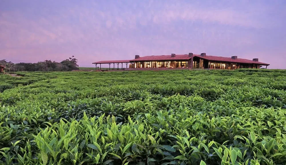 Nyungwe Forest Lodge