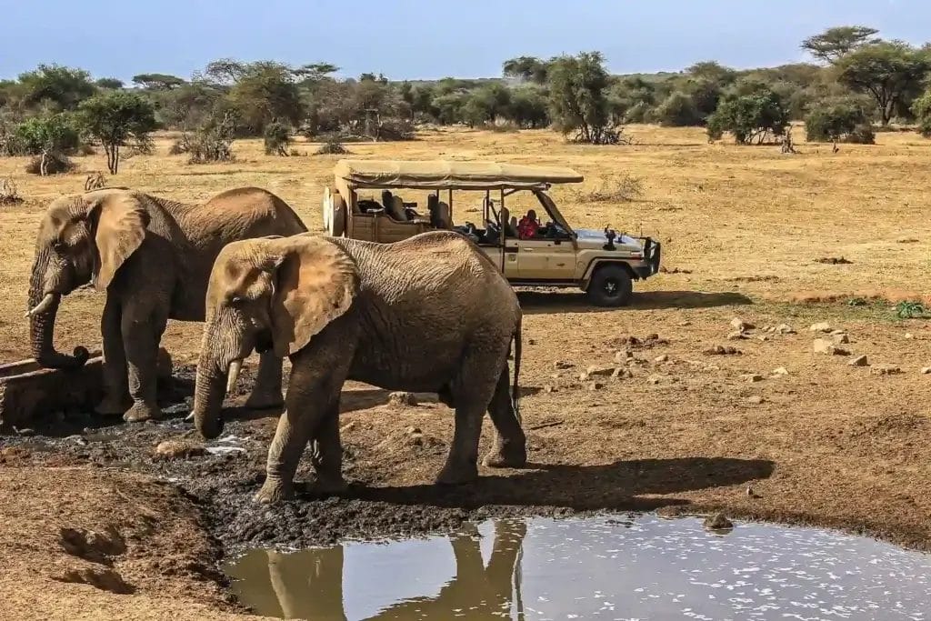 Porini Amboseli Camp