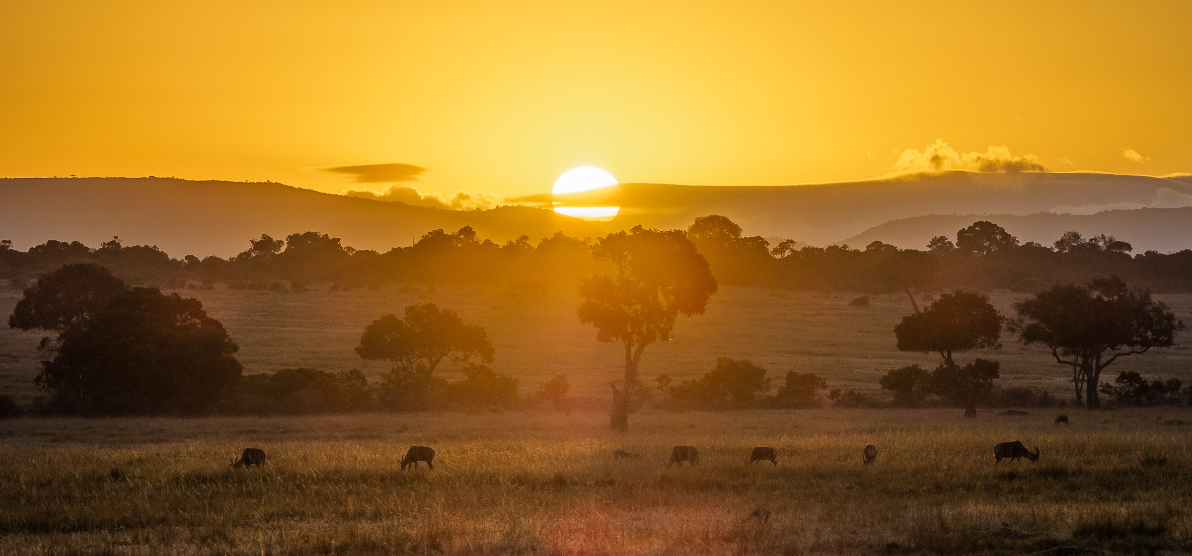 6 Days Unforgettable Maasai Mara Cultural Experience