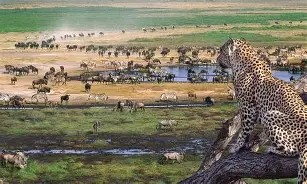 13 Days Uganda & Tanzania Safari — 1