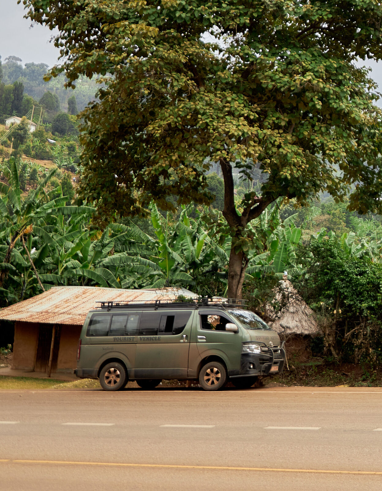 14 Days Uganda Big 5 Safari with Primates & Tree-Climbing Lions