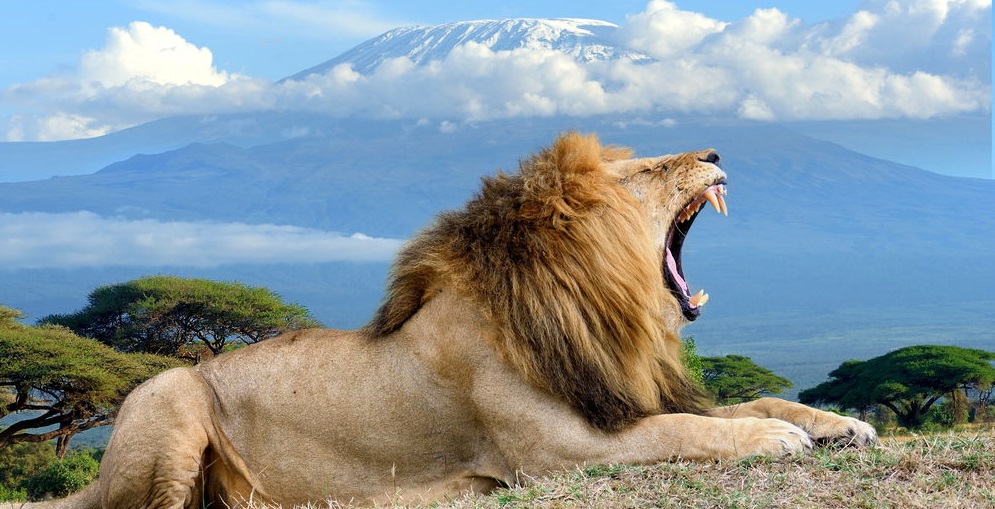 4-Day best of Kenya’s wildlife and culture
