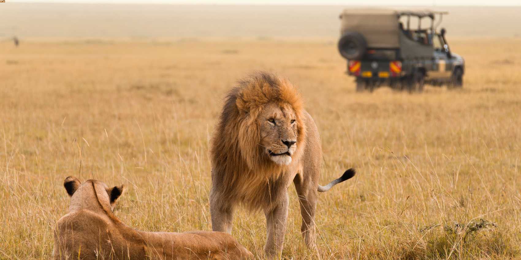 6-day Big 5 safari in Kenya