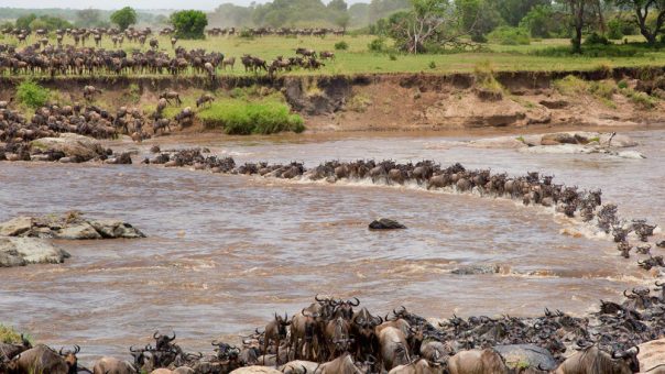 6-Day Masai Mara & Diani Beach fly-in safari