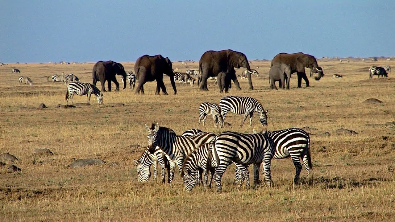 7-day iconic midrange Kenya classic safari