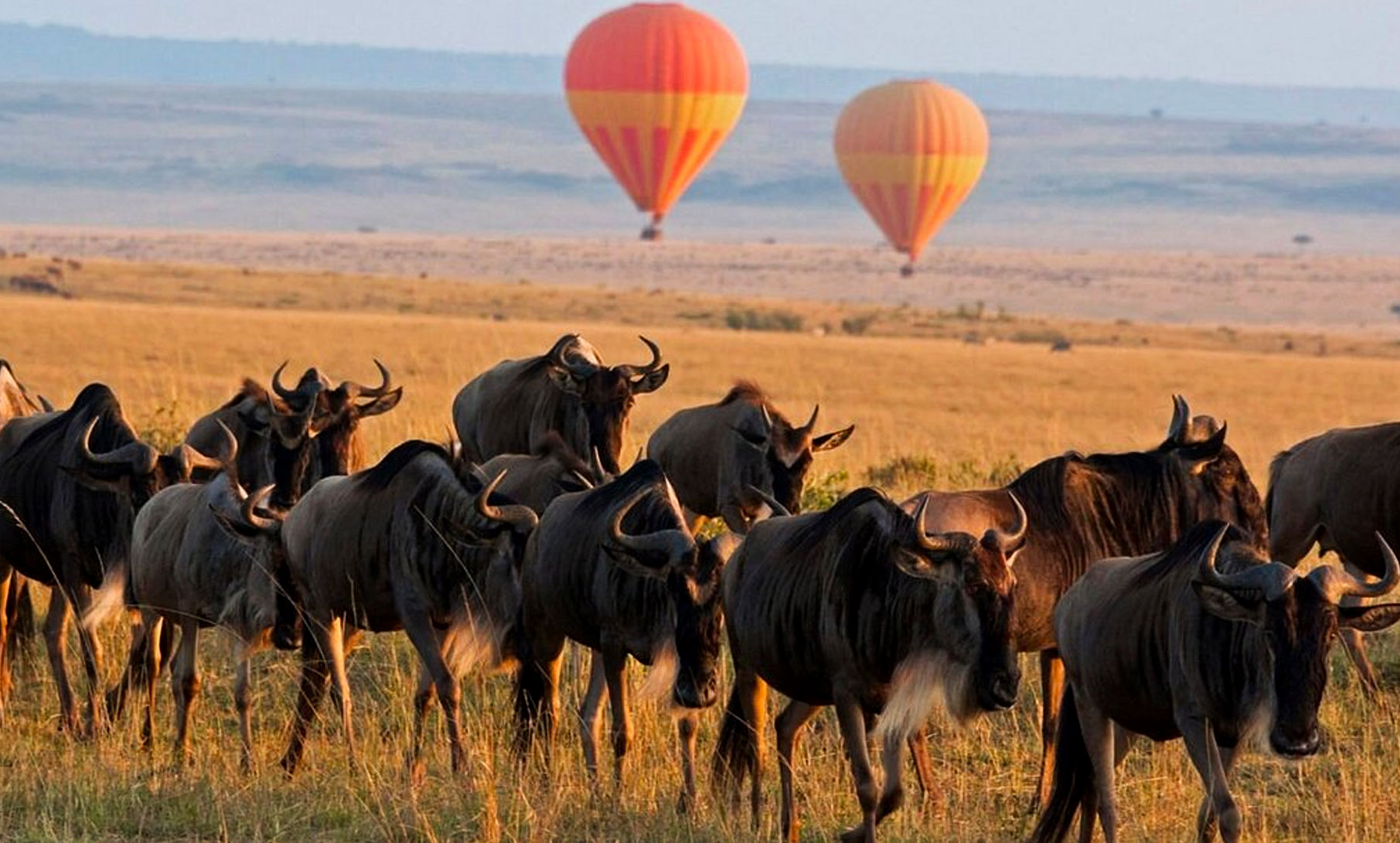 9 Day Exhilarating Semi Luxury Safari