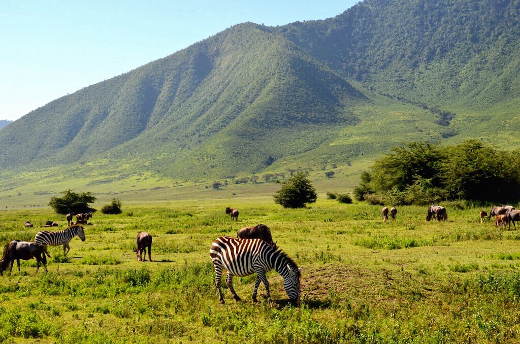 7-day Serengeti Ngorongoro and Tarangire safari